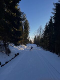 16 bzw. 11km hat die @krv1897 heute in @mitterfirmiansreut abgespult - einige „Abenteuerpassagen“ inklusive. Morgen gehts noch 2 Mal die Loipe. Die 🫁 freut‘s 🤷‍♂️