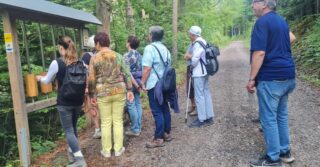 Aufgeschoben, nicht aufgehoben! Die #Sommerwanderung 🥾 unser Mi-Gruppe auf dem Kunst- und Naturerlebnisweg im #Steigerwald rutschte hitzebedingt in den #Indiansummer 🍁🌞 Gut so! Konnte die #Kerwa in #Münchsteinach mitgenommen werden 🍻